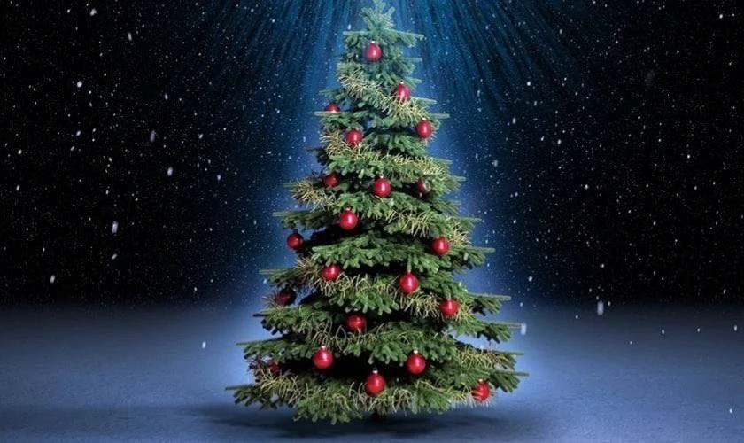 Background cây thông Noel phát sáng