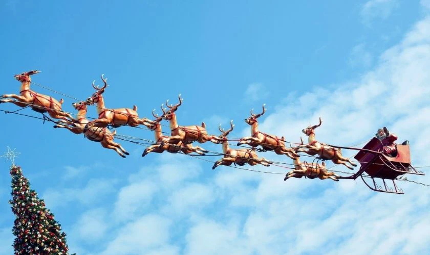 Background Noel chụp ảnh cho quán cafe HD