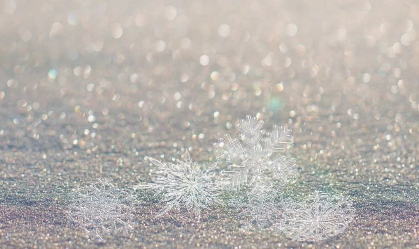 Nền Noel tinh khiết