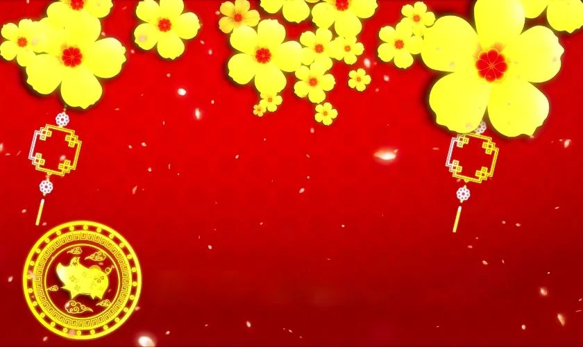 Background hoa mai xuân Bính Ngọ đẹp