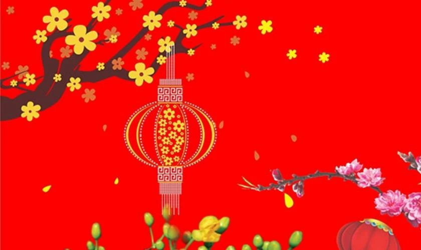 Background hoa mai chụp ảnh đẹp