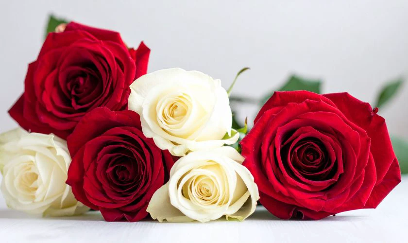 Chủ đề: Người giữ lửa yêu thương