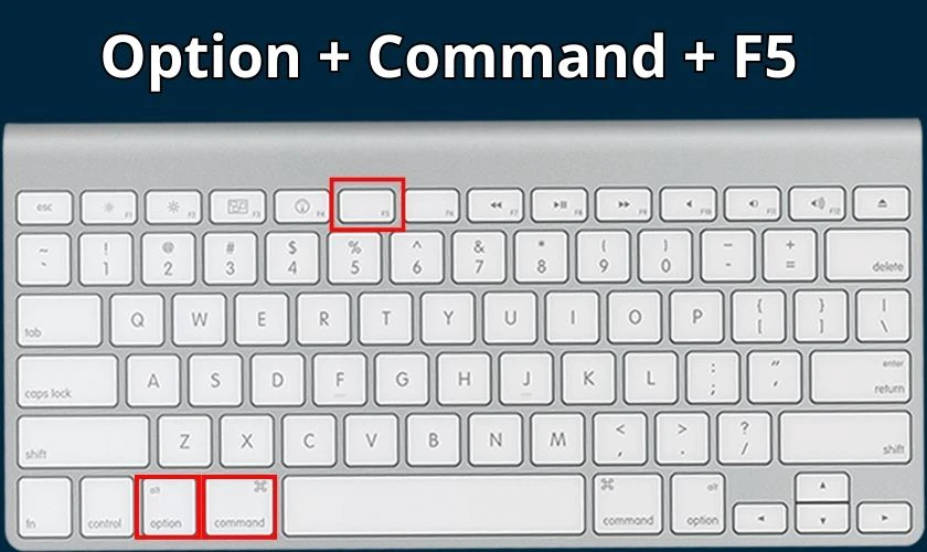 Nhấn giữ vào tổ hợp phím Option + Command + F5