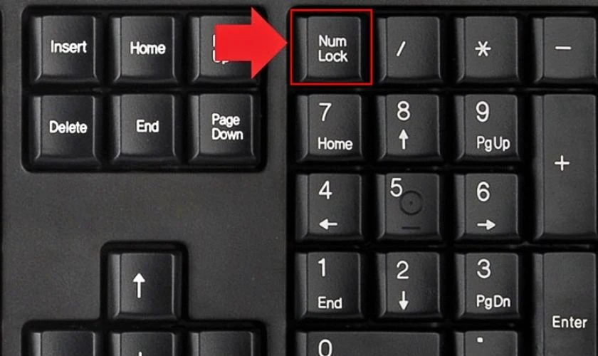Bật Numlock khi bàn phím laptop không gõ được số