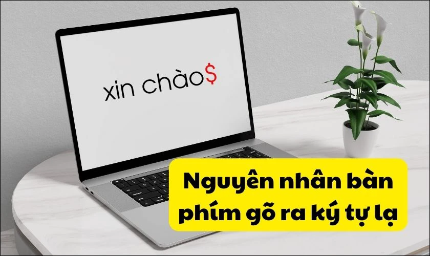 Bàn phím MacBook gõ ra ký tự lạ là do đâu?