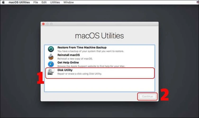 Bạn chọn Disk Utility và nhấn vào Continue