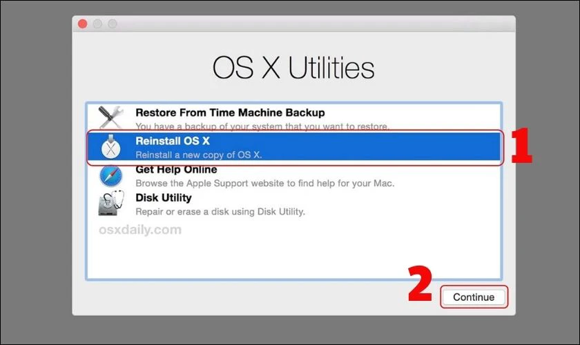 Sau đó, bạn nhấn vào Reinstall macOS và ấn nút Continue