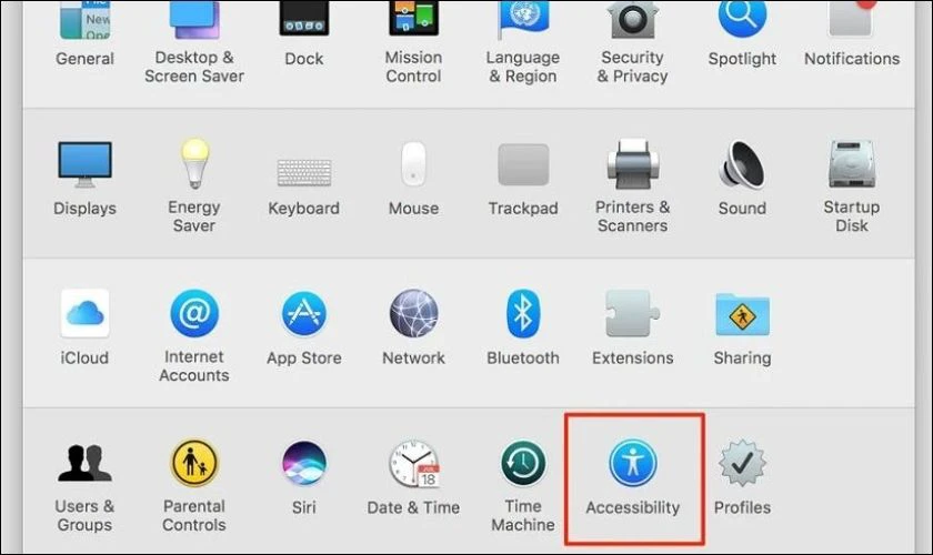 Trong giao diện System Preferences, bạn chọn Accessibility