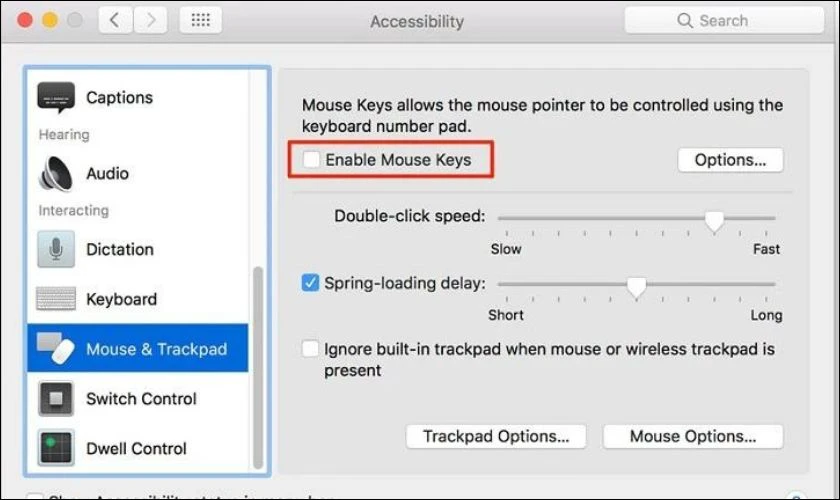 Kiểm tra Mouse Keys trên máy khi bàn phím MacBook bị lỗi