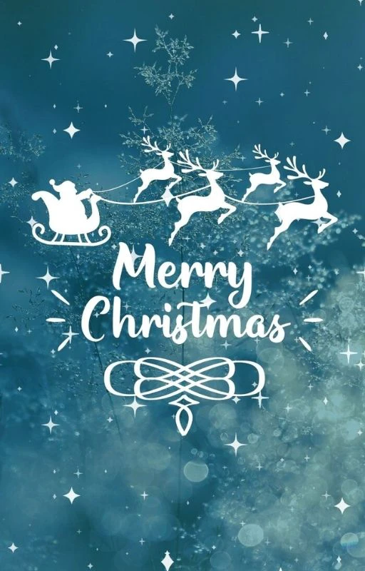 Banner dọc Noel đẹp mắt đơn giản