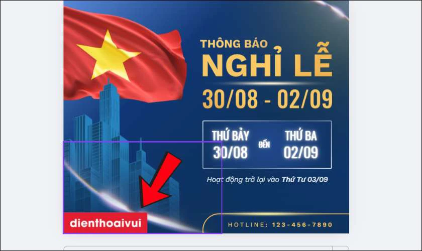 Thêm logo và thông tin liên hệ