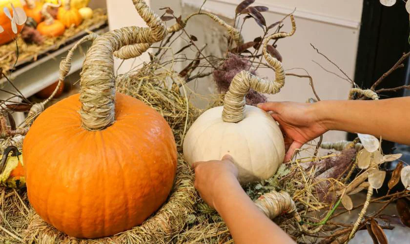 Bí ngô Halloween có nguồn gốc từ đâu?