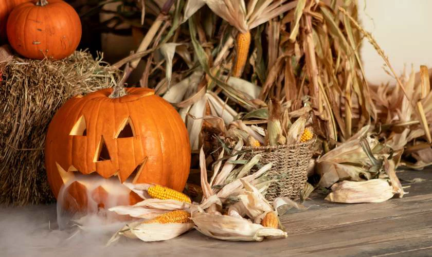 Decor ngày Halloween đặc sắc