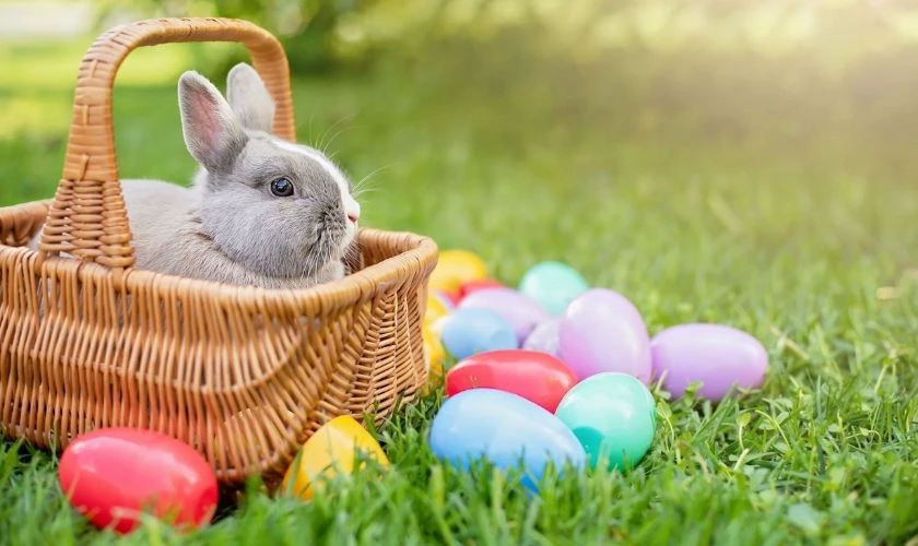Thỏ Phục Sinh - Biểu tượng của sự sinh sôi