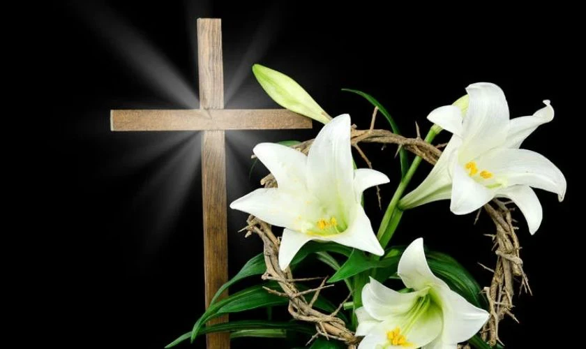 Hoa lily trắng - Biểu tượng của sự tinh khiết và phục sinh