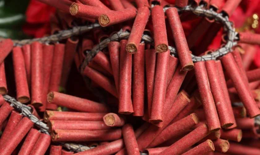 Cây pháp chưng Tết