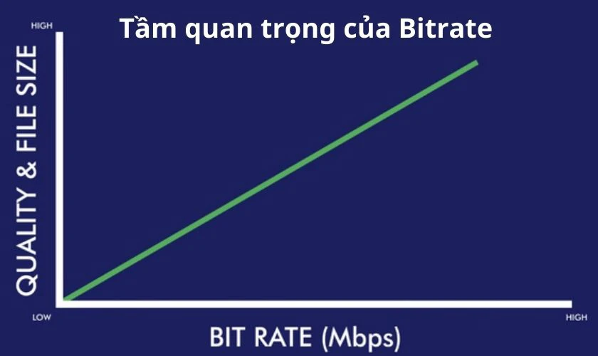 Tầm quan trọng của Bitrate là gì?