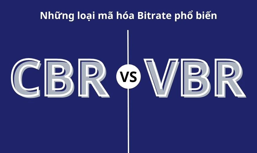 Những loại mã hóa Bitrate phổ biến là gì?