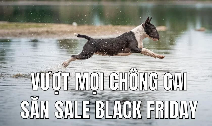 Black Friday meme năm nay