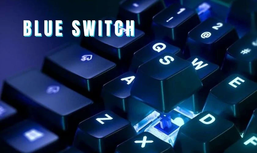 Blue Switch là gì?