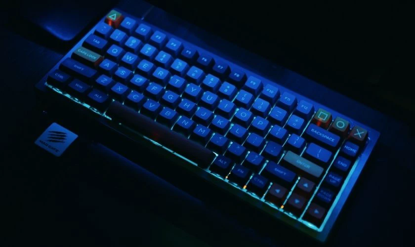 Bàn phím cơ Blue Switch phù hợp với đối tượng nào?