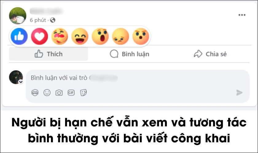 Người bị hạn chế trên Facebook có thể xem được nội dung nào mà tôi đăng tải?