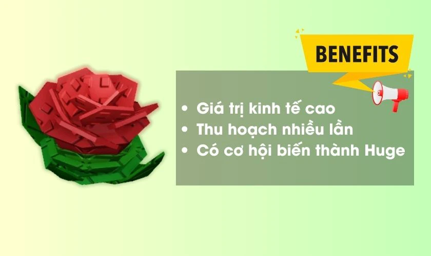 Lợi ích của Briar Rose trong Grow a Garden