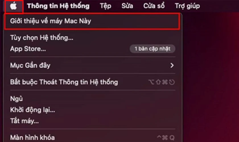 Cách kiểm tra Bus RAM đang dùng trên MacBook