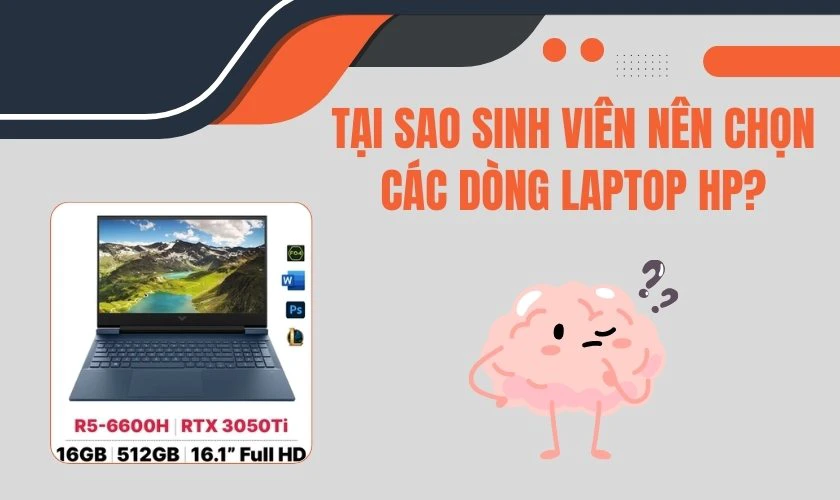 Tại sao sinh viên nên chọn các dòng laptop HP