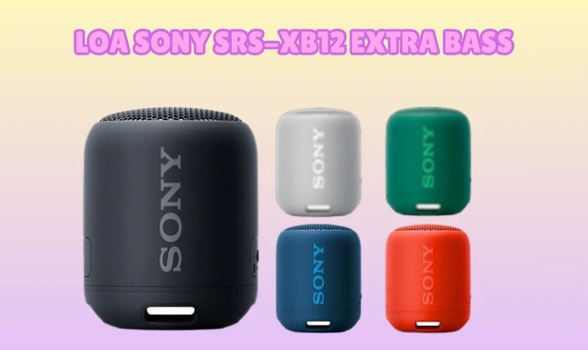 Loa Sony SRS-XB12 Extra Bass