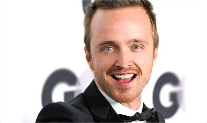 Các phim và chương trình truyền hình có sự tham gia của Aaron Paul