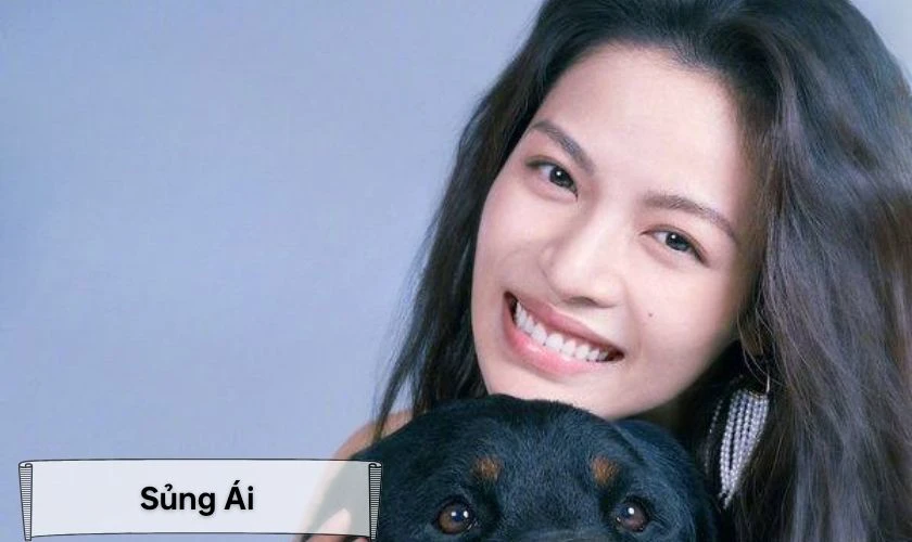 Các phim và chương trình truyền hình có sự tham gia của Chung Sở Hi mới