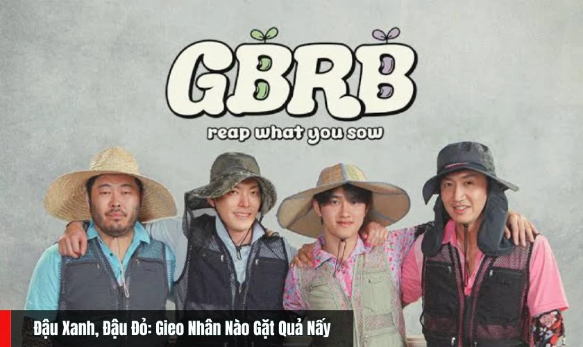 Đậu Xanh, Đậu Đỏ: Gieo Nhân Nào Gặt Quả Nấy