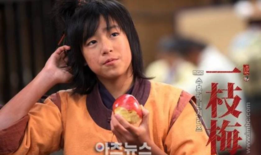Mai Hoa Kiếm - The Return of Iljimae (2009)