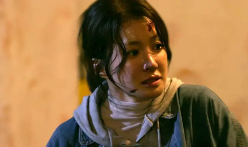 Các chương trình truyền hình có sự tham gia của Lee Si-young hay
