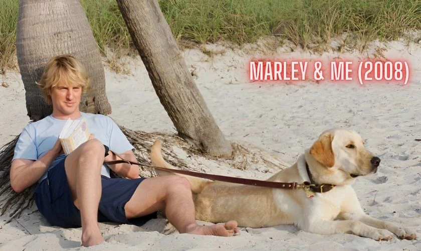  Marley Và Tôi - Marley & Me (2008)