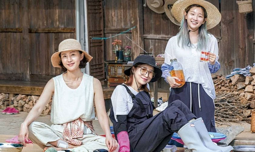 Các chương trình truyền hình có sự tham gia của Park So-dam