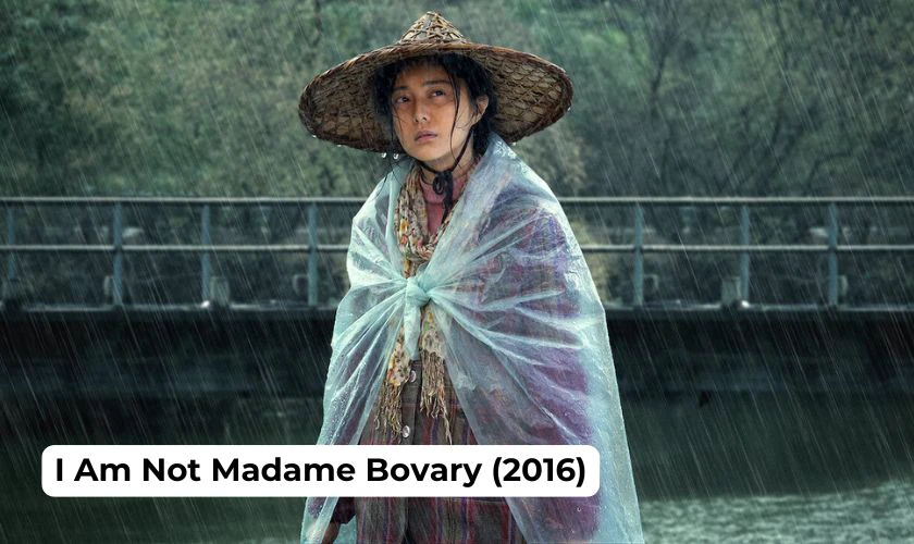 Tôi Không Phải Madame Bovary - I Am Not Madame Bovary (2016)