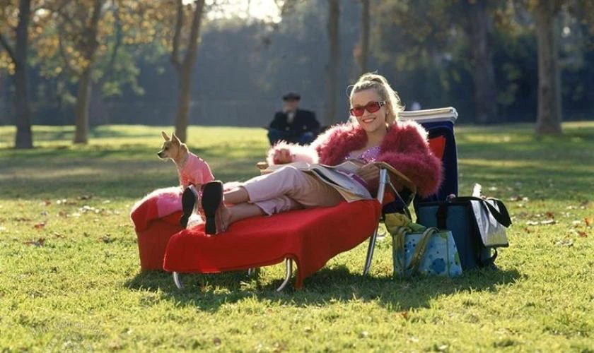 Luật Sư Kh&ocirc;ng Bằng Cấp - Legally Blonde (2001) l&agrave; c&aacute;c phim v&agrave; chương tr&igrave;nh truyền h&igrave;nh c&oacute; sự tham gia của Reese Witherspoon