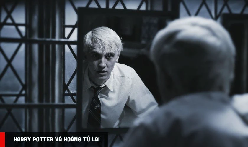 Harry Potter là chuỗi phim gắn liền với tên tuổi của Tom Felton