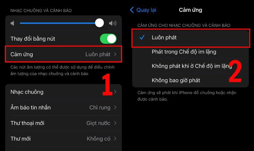 Trong phần Cảm ứng, chọn Luôn phát