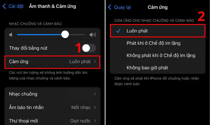 Nhấn vào Cảm ứng và chọn Luôn phát