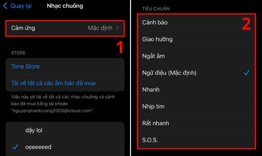 Tiếp tục chọn vào mục Cảm ứng