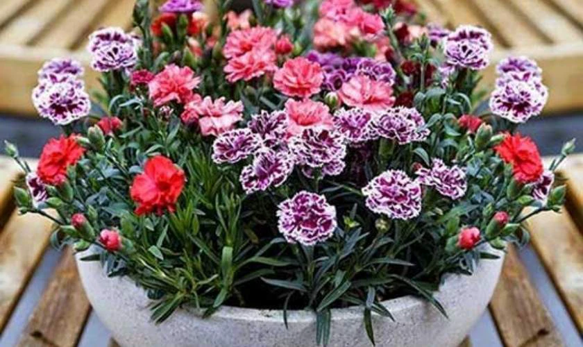 Trang trí bình hoa đẹp mùa Tết ấn tượng