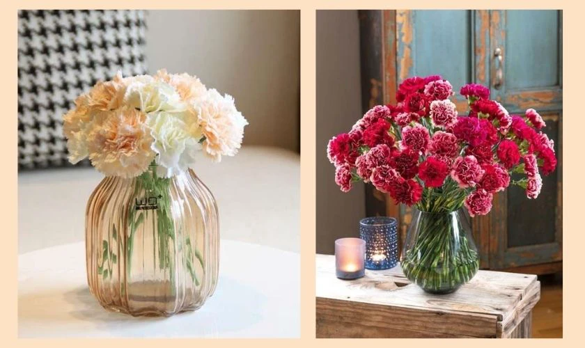 Chậu hoa cẩm chướng nhỏ