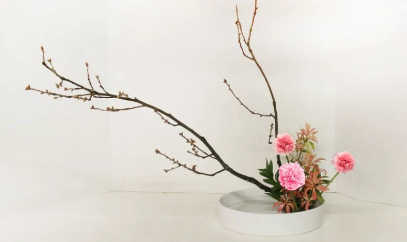 Cách cắm hoa cẩm chướng ngày Tết tối giản