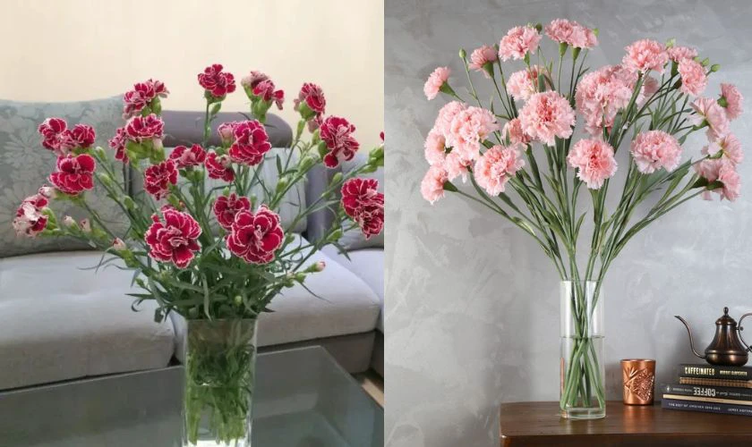 Cách cắm hoa cẩm chướng ngày Tết trong lọ cao để bàn