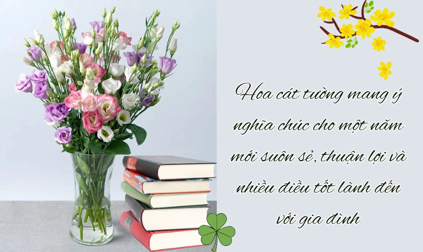 Ý Nghĩa Hoa Cát Tường Ngày Tết