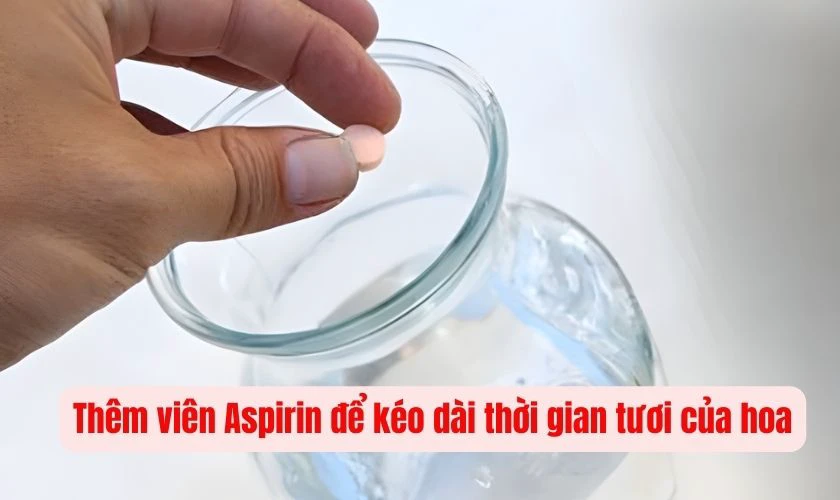 Mẹo Giữ Cát Tường Chưng Tết Lâu Tàn