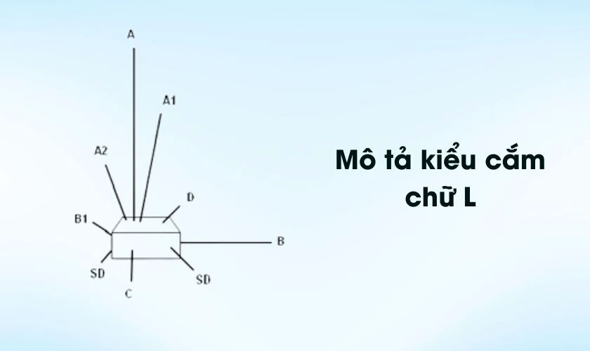 Cách cắm hoa cát tường ngày Tết theo hình chữ L